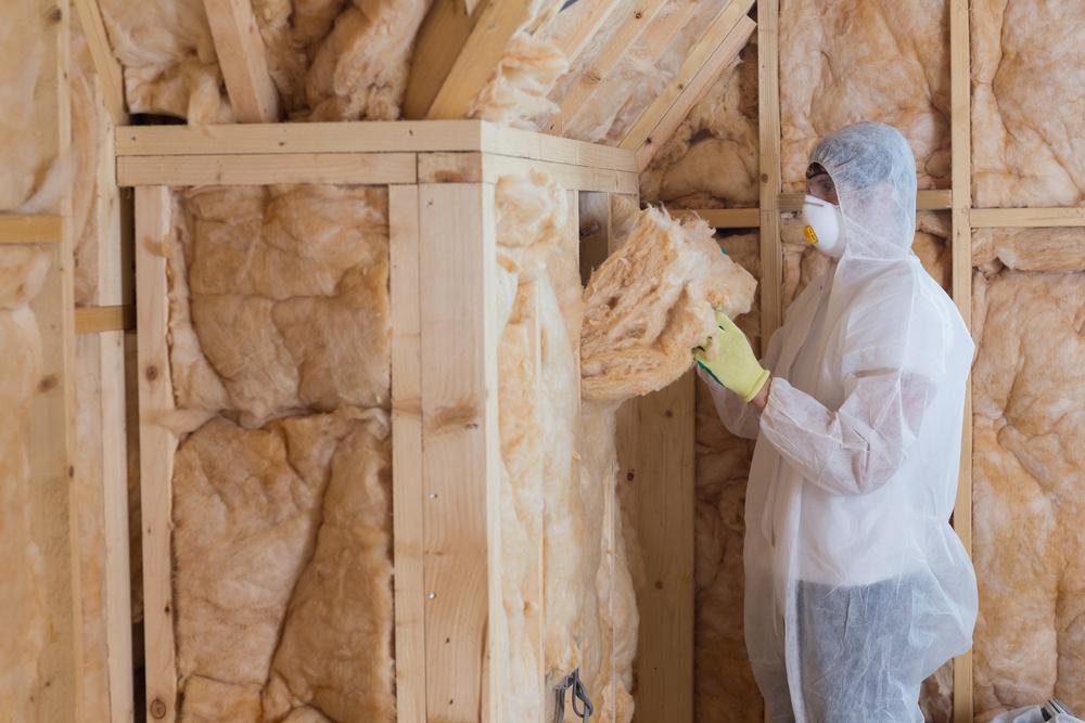 Home Renovation: insulation on a north facing wall